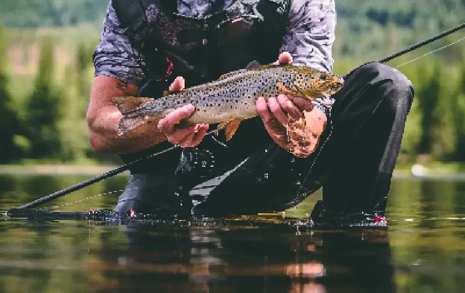 Mann sitter på kne i vannet og holder en fisk