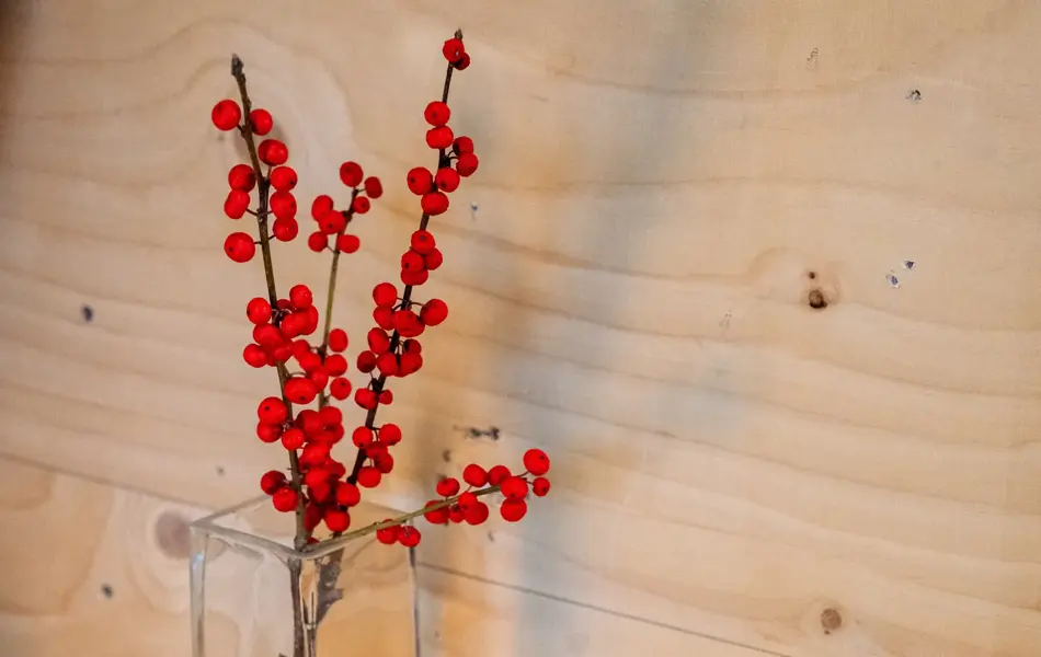 Elen Kristvik julegavefavoritter