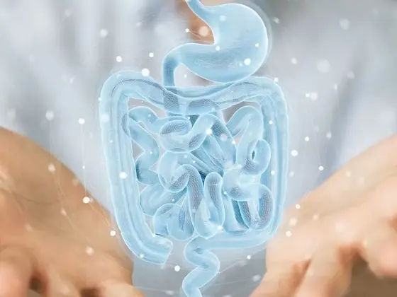 bilde av en tarm, AI generert