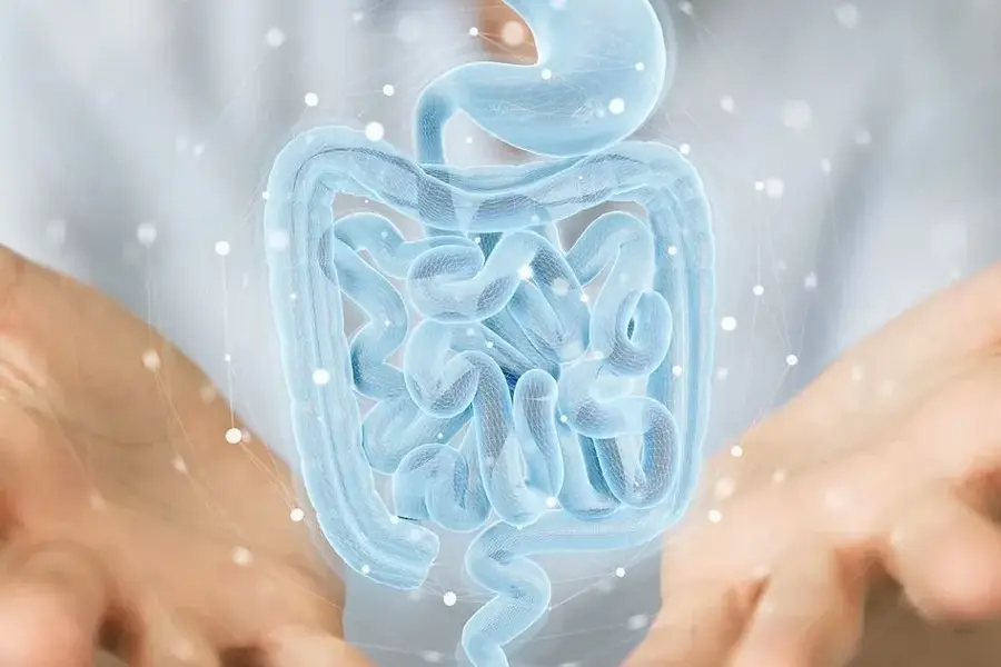 bilde av en tarm, AI generert