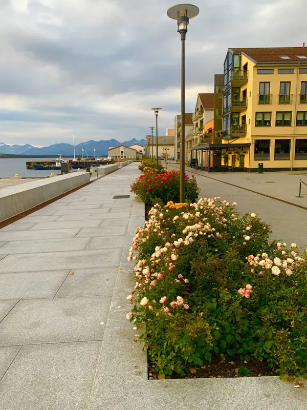molde by