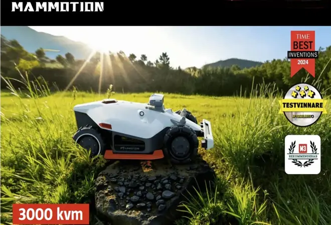 Bauhaus Black friday