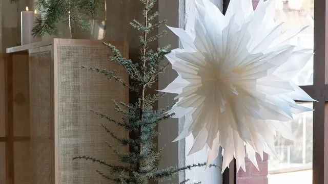 Mester Grønn Jul_adventsstjerne_1080x1080 2.jpg