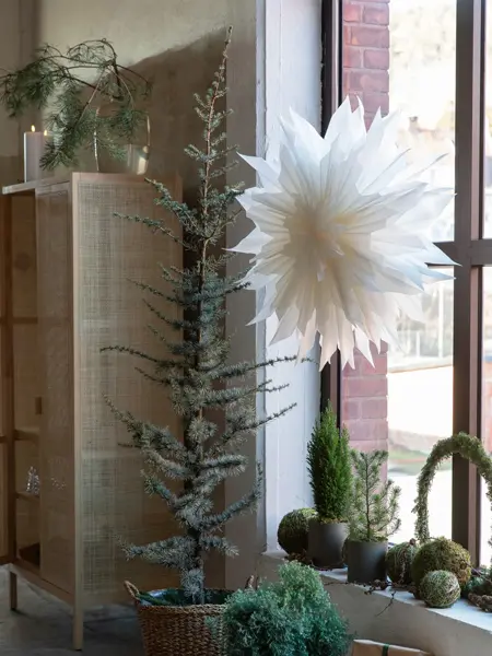 Julestjerne i et vindu