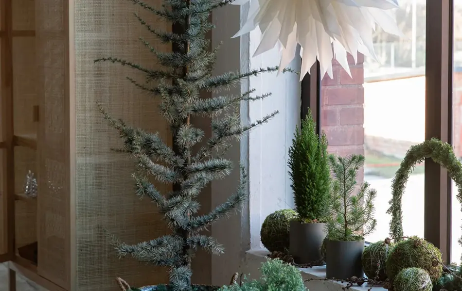 Julestjerne i et vindu