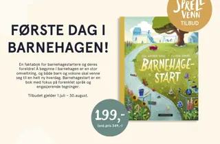 Eksempelbilde av tilbudet.
