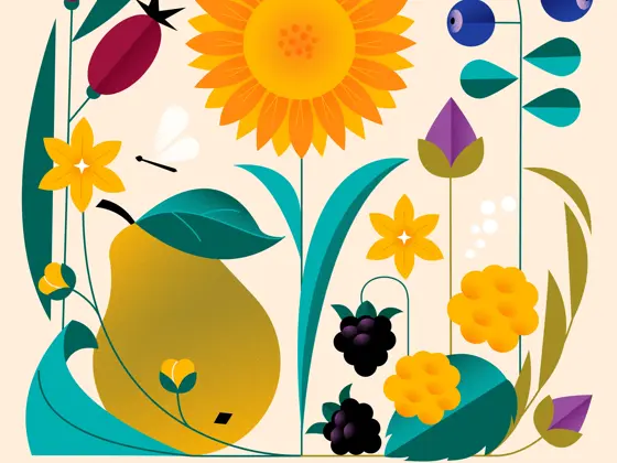 Blomster og frukt i høstfarger