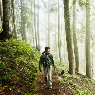 Man hiking along trial in forest on foggy morning