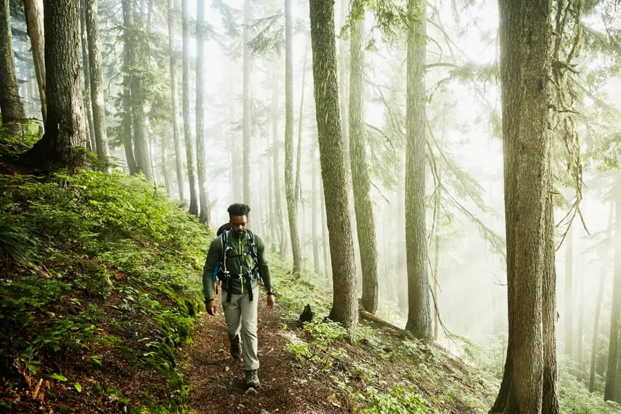 Man hiking along trial in forest on foggy morning