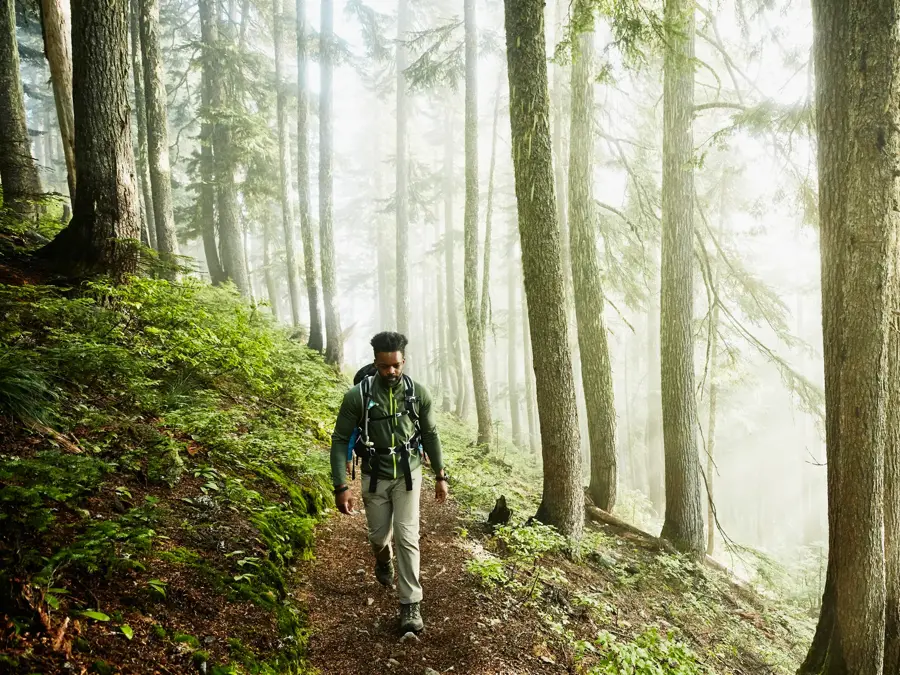 Man hiking along trial in forest on foggy morning