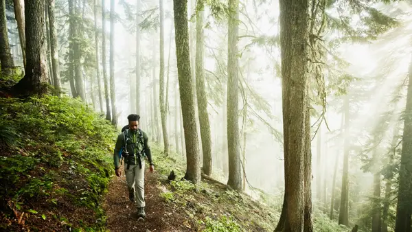 Man hiking along trial in forest on foggy morning