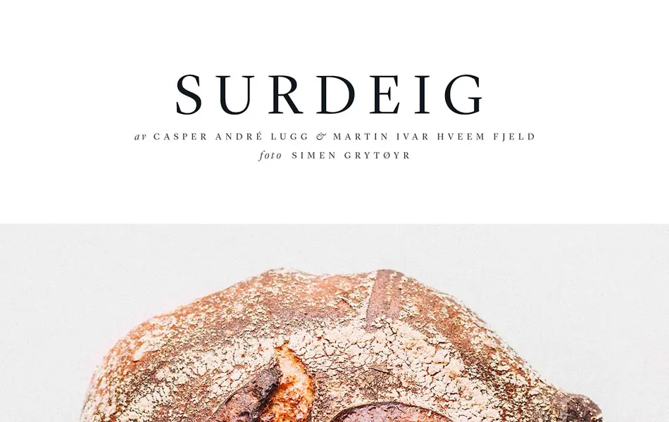 Bokomslaget til "Surdeig"