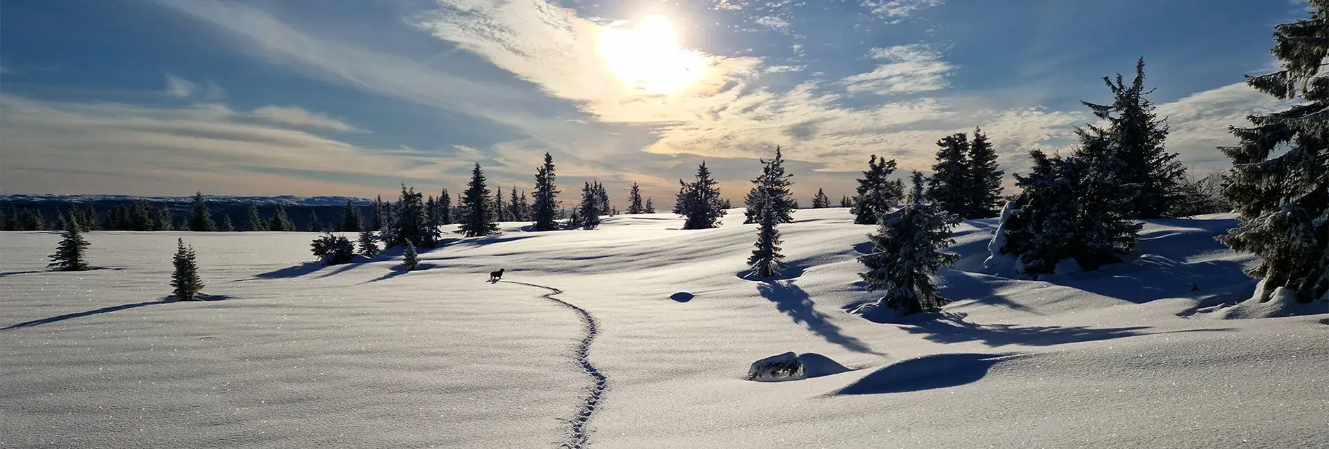 HS-vår-bakgrunn-1920x694