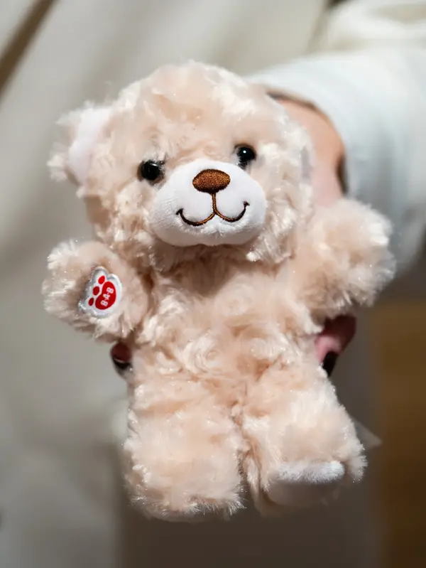 Bamse Ringo 199-1