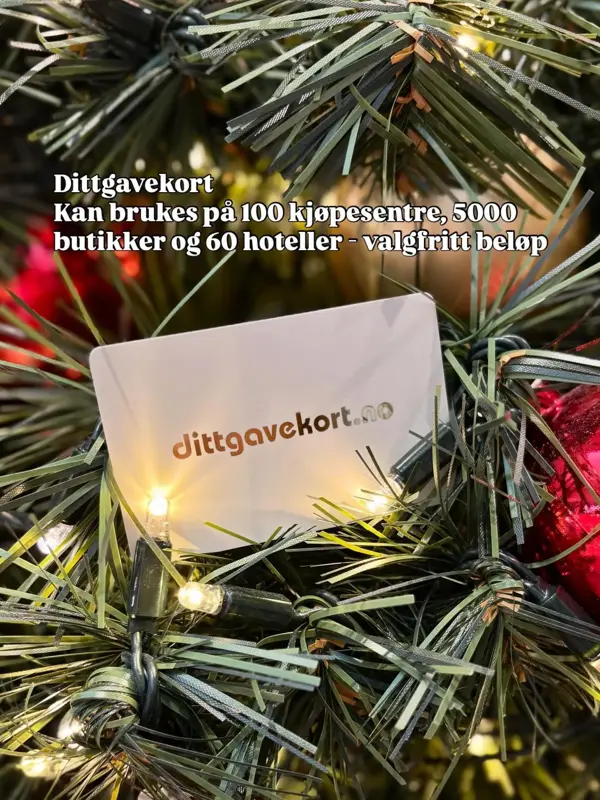 gavetips ungdom