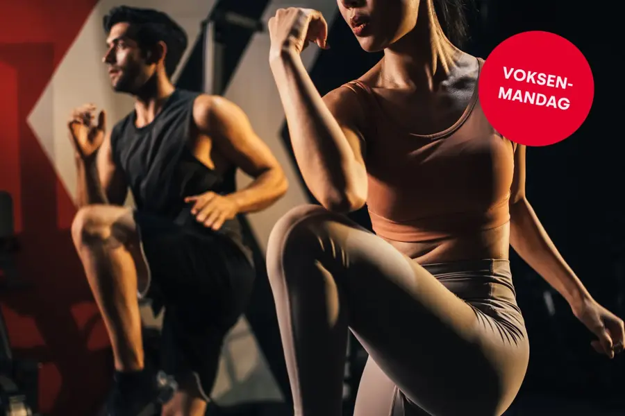 Aktivitetsdager jan.