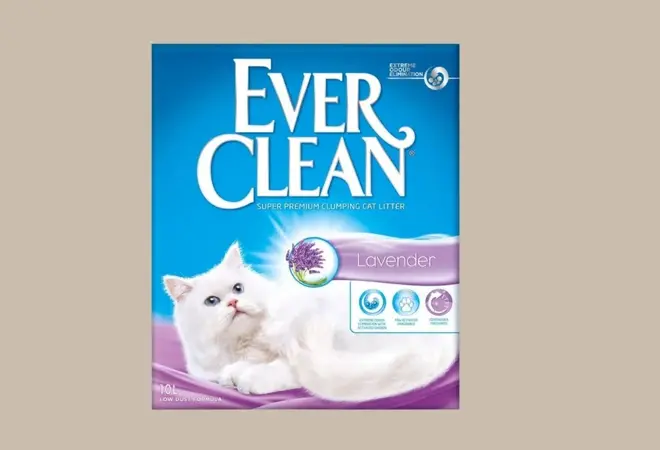 BW 2025 - BW Buddy Ever Clean