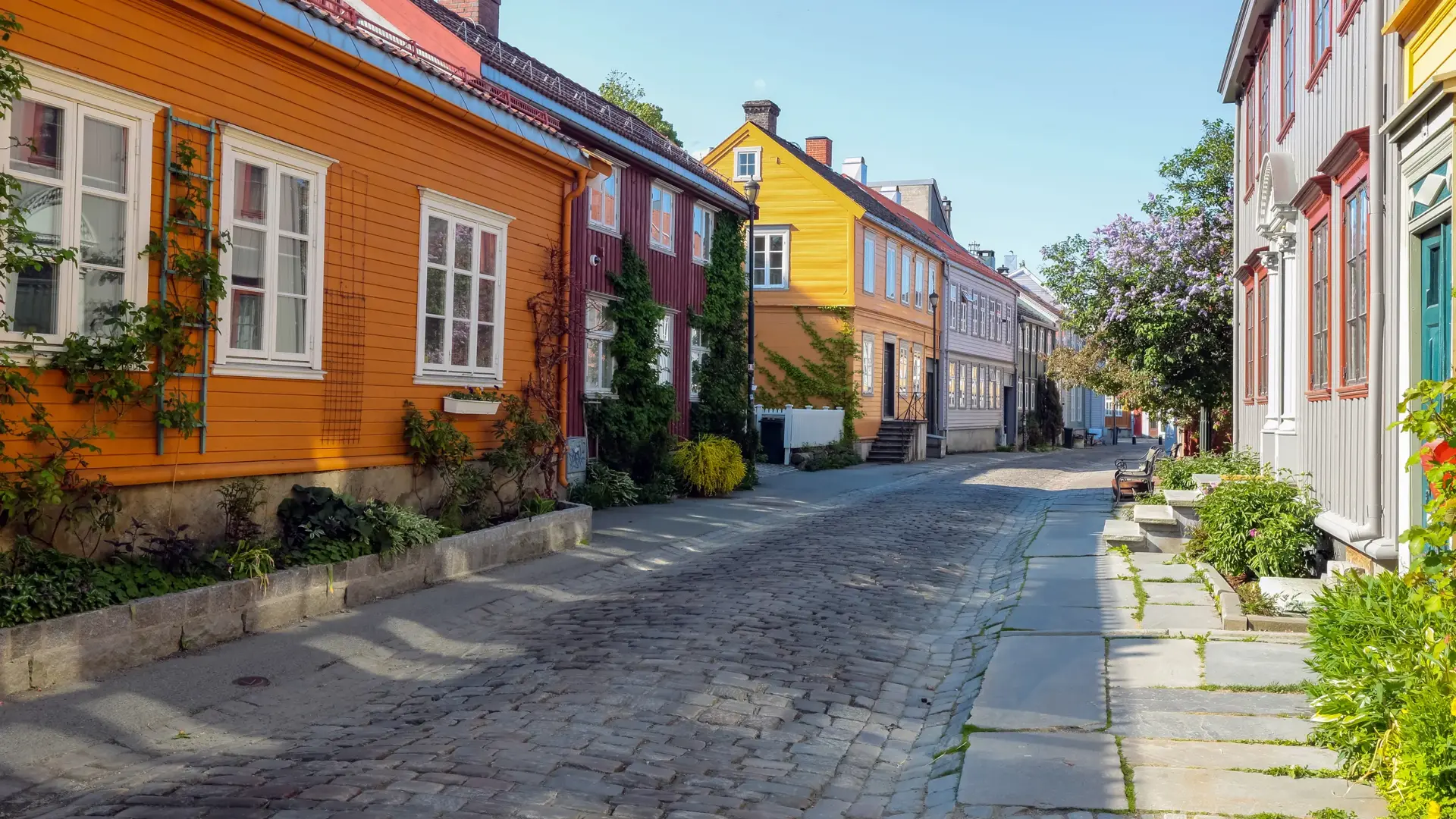 Bakklandet , old neighbourhood in Trondheim, with small wooden houses and narrow streets. it is among the major tourist attractions in the city.