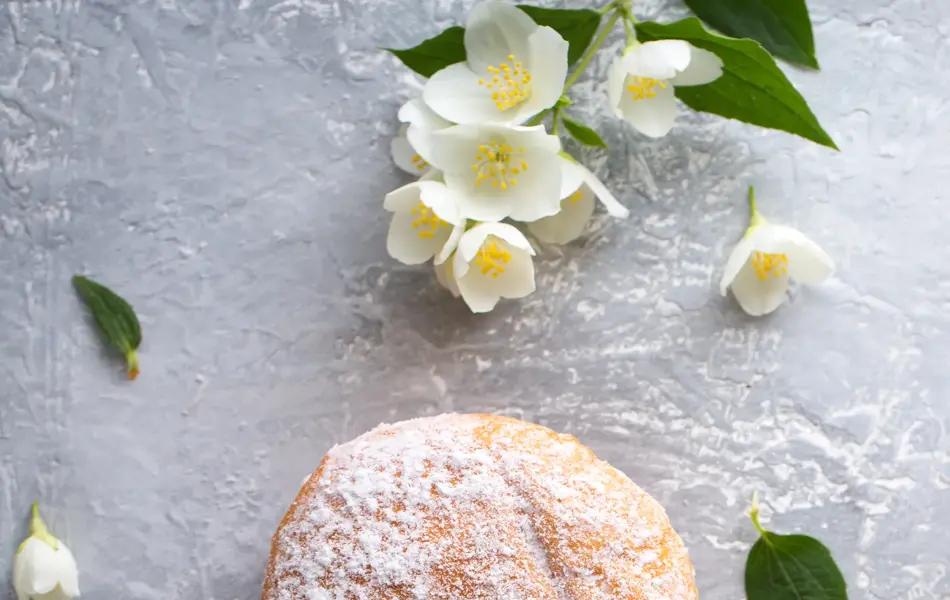 berliner donuts in powdered sugar on a gray background