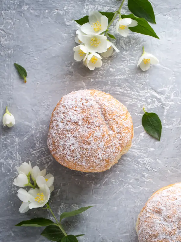 berliner donuts in powdered sugar on a gray background