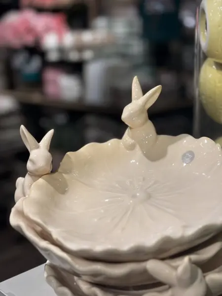 20260305_100114012_iOS