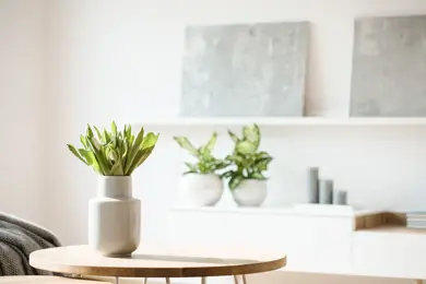 En lite bord med en plante på, med en hylle med planter og et par bilder i bakgrunnen
