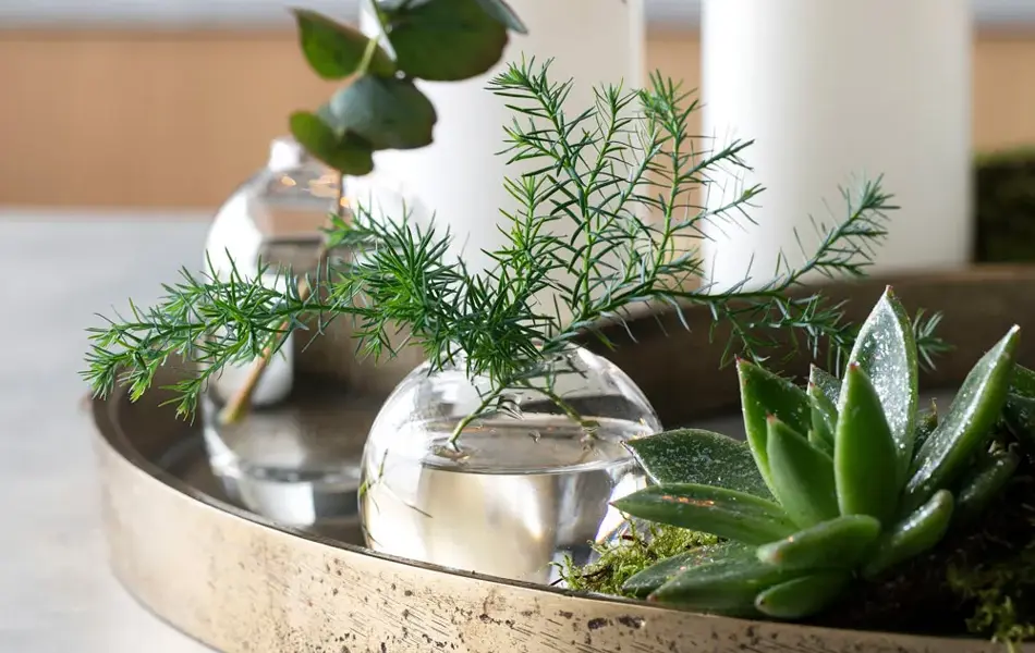 Lysfat fra Mester Grønn