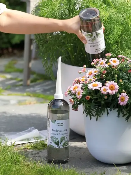 Sett ferievanneren ned i jorden