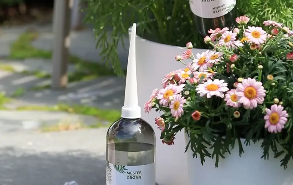 Sett ferievanneren ned i jorden