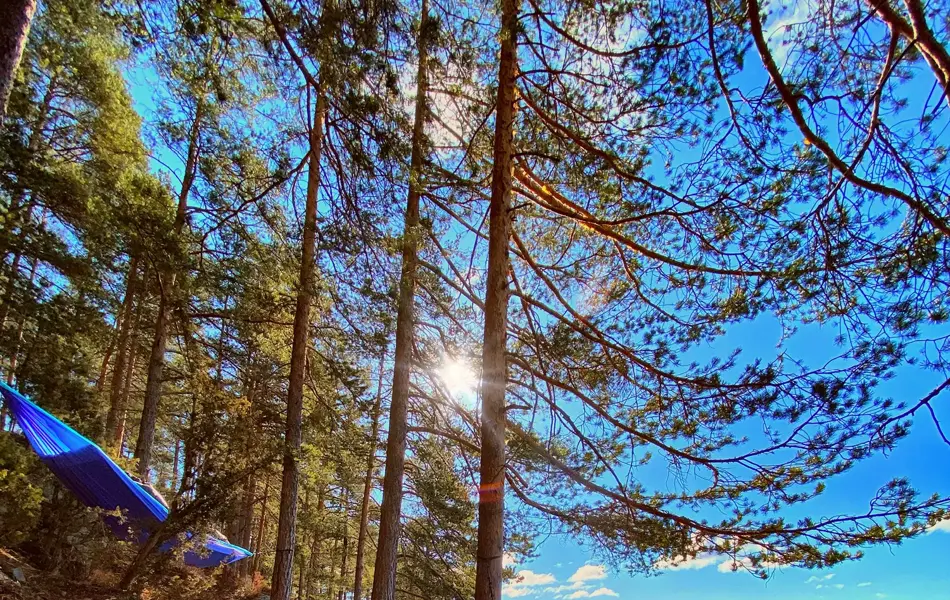 Utsnitt av tuppen på en hengekøye og et sup-brett i vannkanten