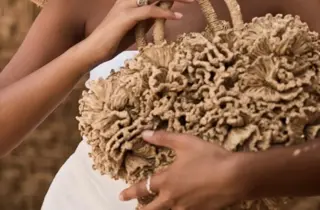 Ibelive vesker i strå