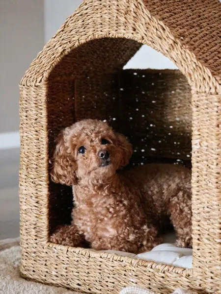 TS_Storo_artikkel_morsdag