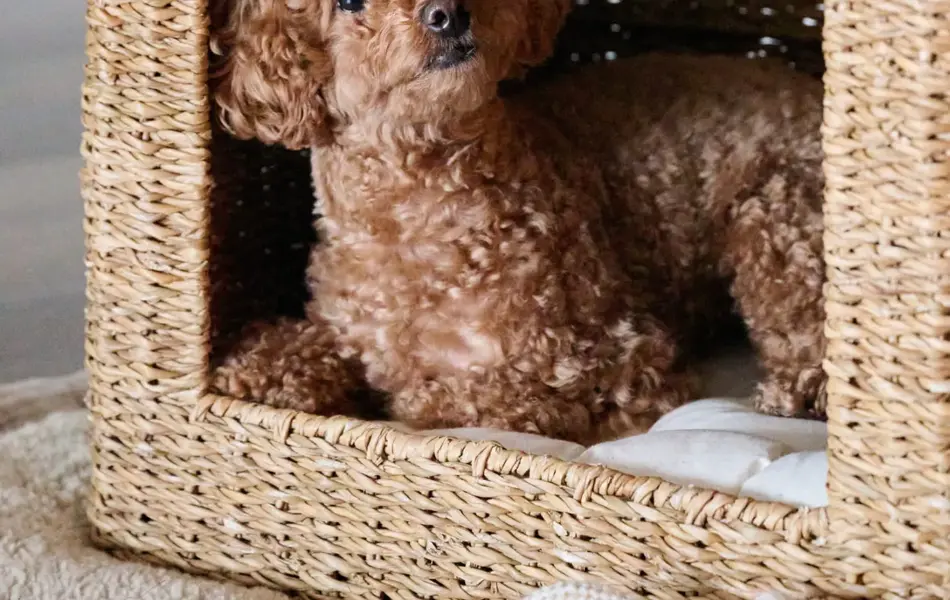 TS_Storo_artikkel_morsdag