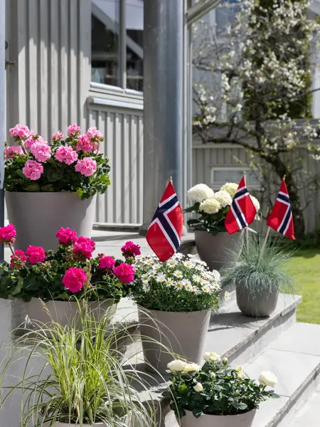 Blomster og pynt fra Mester Grønn