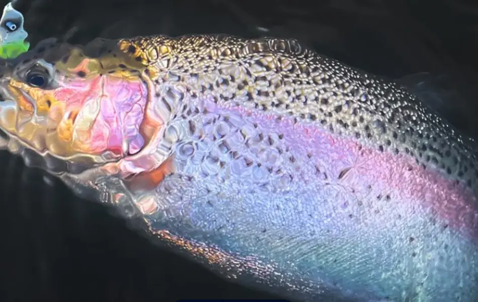 Skärmbild 2022-11-02 130254.jpg