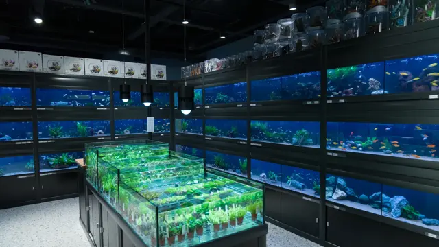 Unike konsepter og destinasjon shopping på Sandvika Storsenter 