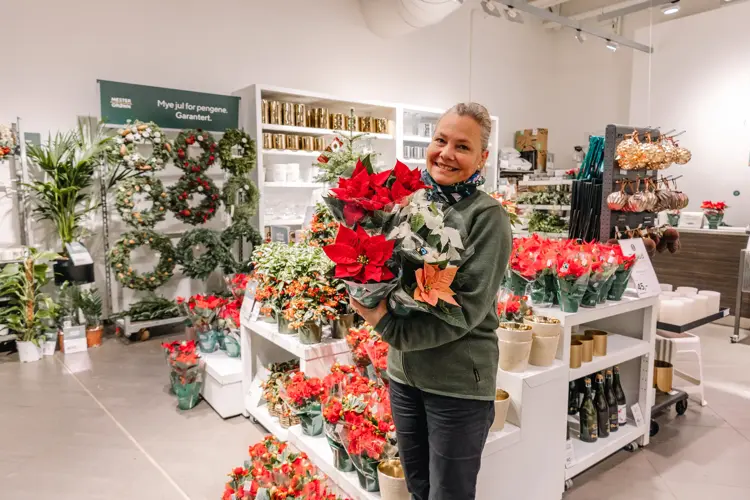 Hvilke blomster forbinder du med julen? Hos Mester Grønn på senteret finner du alt fra pynt til planter og julekrans. Her er noen blomster som gir julestemning.