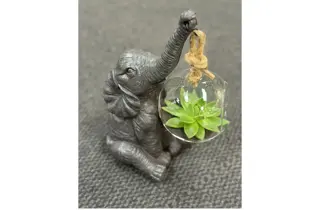 Gunerius black week 25