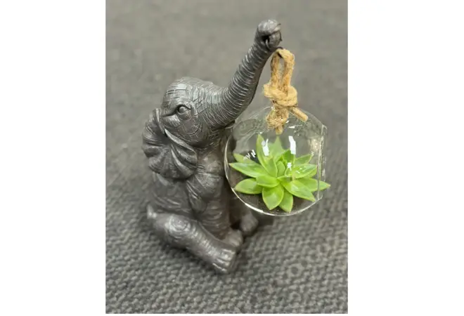 Gunerius black week 25