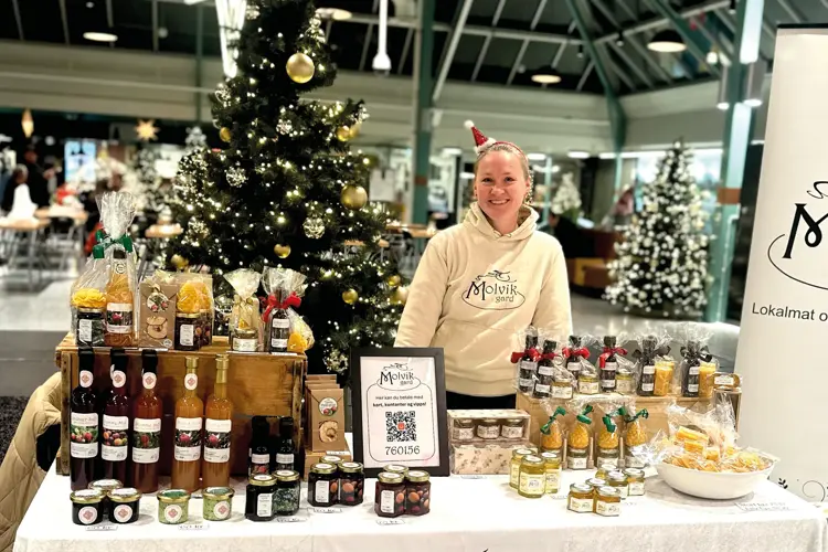 Julemarknad i AMFI Knarvik_Molvik gard_2024