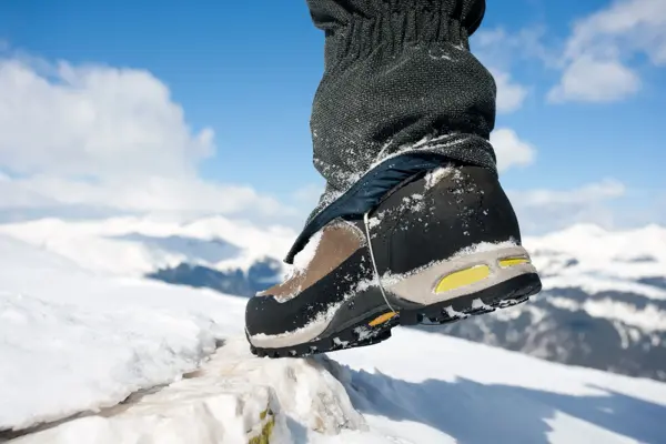 Nærbilde av fjellsko på stein 