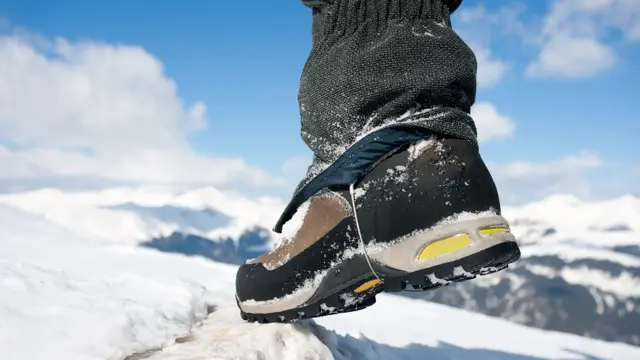 Nærbilde av fjellsko på stein 