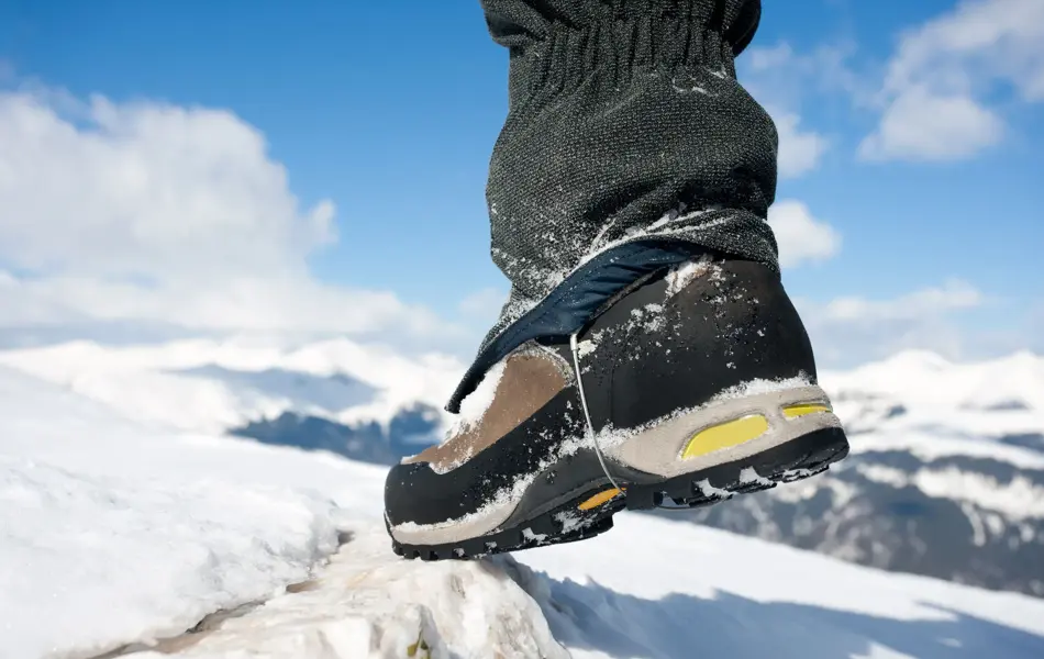 Nærbilde av fjellsko på stein 