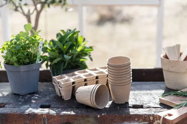 Urter og papp potter