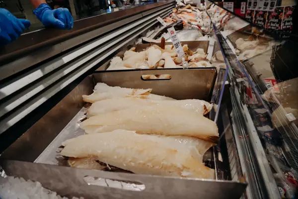ferskvaredisk med utvalg av fersk fisk