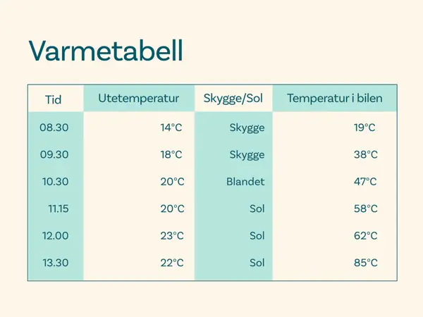 TS_Storo_artikkel_pass-pa-kjaledyret-ditt-i-varmen