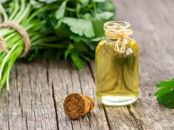 Flaste med olje på et bord sammen med urter