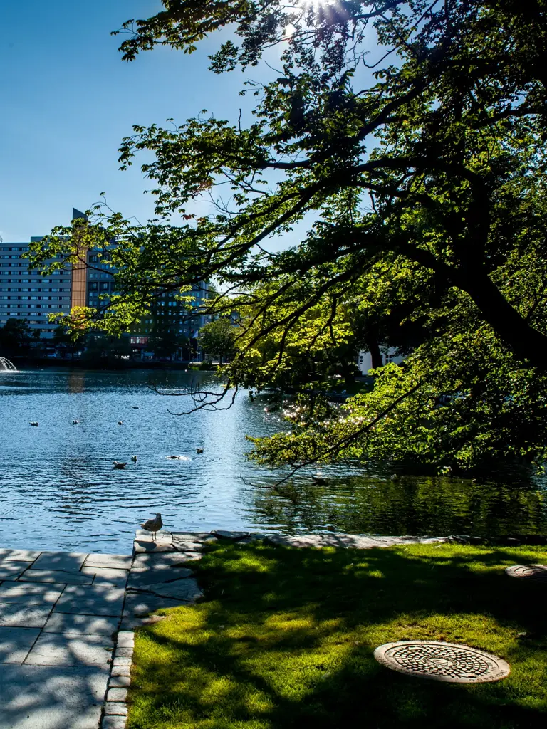Breiavatnet is a small lake in the city centre of Stavanger, Norway. By the lake lies Stavanger Cathedral, Stavanger train station, Stavanger Cathedral school and the city park.