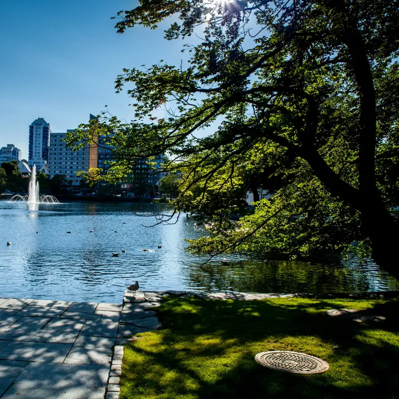 Breiavatnet is a small lake in the city centre of Stavanger, Norway. By the lake lies Stavanger Cathedral, Stavanger train station, Stavanger Cathedral school and the city park.