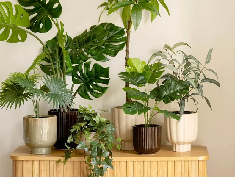 kremmerhuset-grønne-planter-uke15-4.3